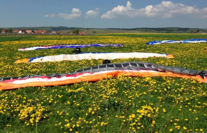 Gleitschirme_auf_wiese Gleitschirme im Blumenfeld