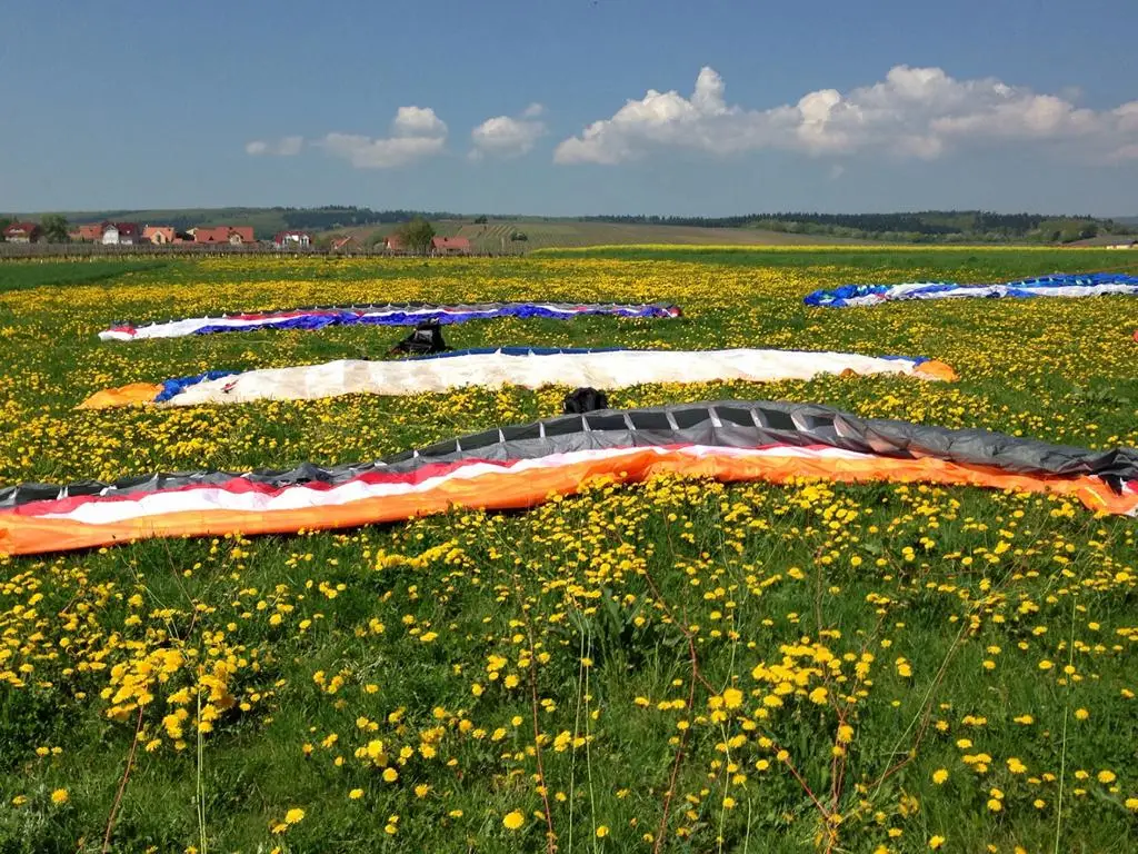 Gleitschirme im Blumenfeld